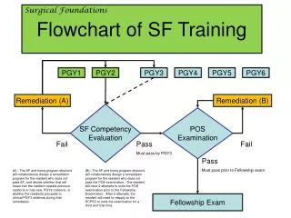 Flowchart of SF Training