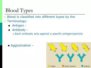 Blood Types