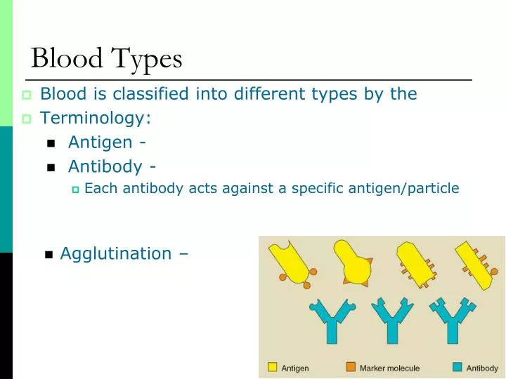 blood types