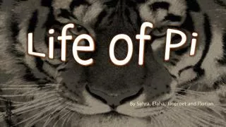 life of pi