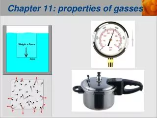 Chapter 11: properties of gasses