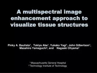 A multispectral image enhancement approach to visualize tissue structures