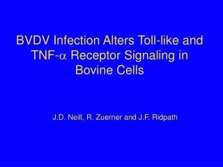 BVDV Infection Alters Toll-like and TNF- ? Receptor Signaling in Bovine Cells