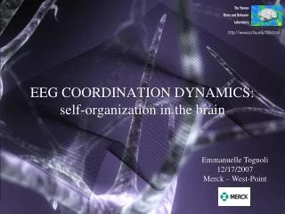 EEG COORDINATION DYNAMICS: self-organization in the brain