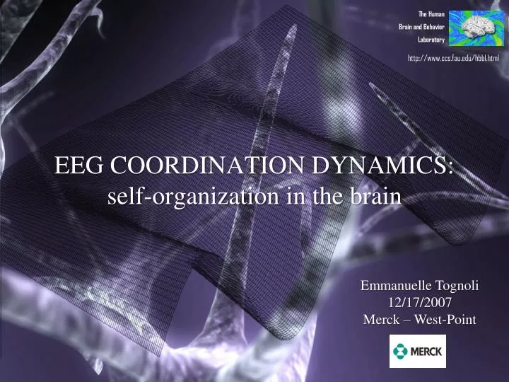 eeg coordination dynamics self organization in the brain