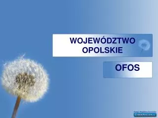wojew dztwo opolskie
