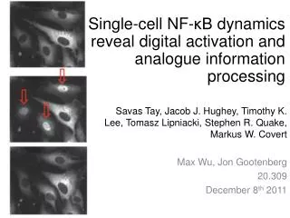 Single-cell NF- ?B dynamics reveal digital activation and analogue information processing