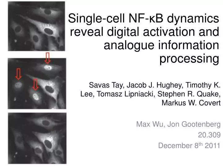 single cell nf b dynamics reveal digital activation and analogue information processing