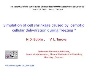 Simulation of cell shrinkage caused by osmotic