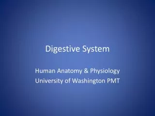 digestive system