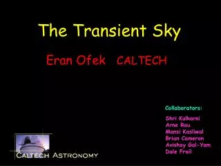 The Transient Sky