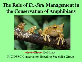 The Role of Ex-Situ Management in the Conservation of Amphibians