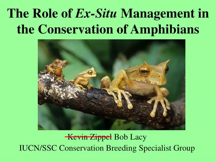 the role of ex situ management in the conservation of amphibians