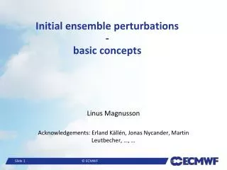 Initial ensemble perturbations - basic concepts
