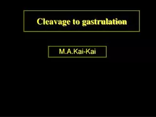 Cleavage to gastrulation
