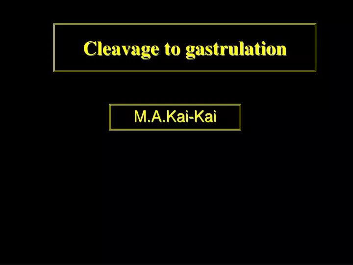 cleavage to gastrulation