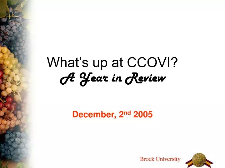 what s up at ccovi a year in review