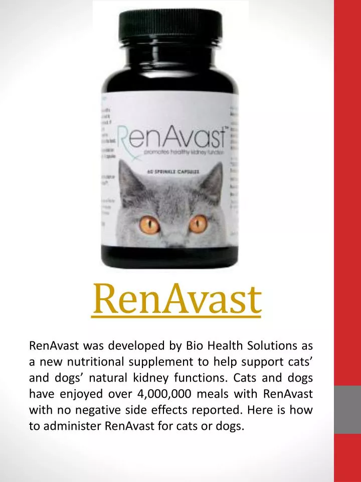 renavast