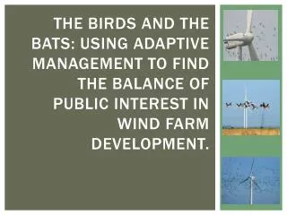 1. birds, bats and windfarms: compatibility or Frenemies ?