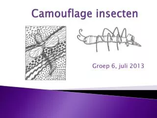 camouflage insecten