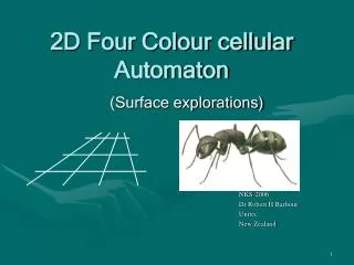 2D Four Colour cellular Automaton