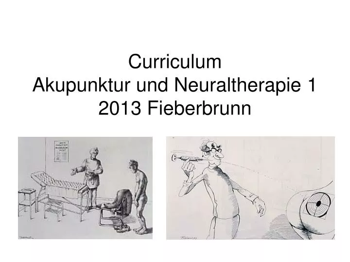 curriculum akupunktur und neuraltherapie 1 2013 fieberbrunn