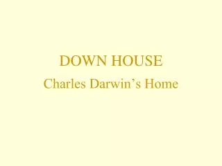 DOWN HOUSE