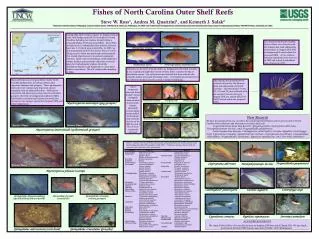 Fishes of North Carolina Outer Shelf Reefs