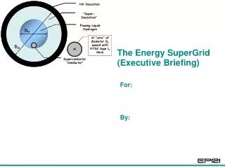The Energy SuperGrid (Executive Briefing)