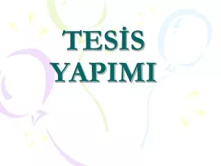 tes s yapimi