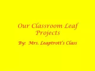 Our Classroom Leaf Projects