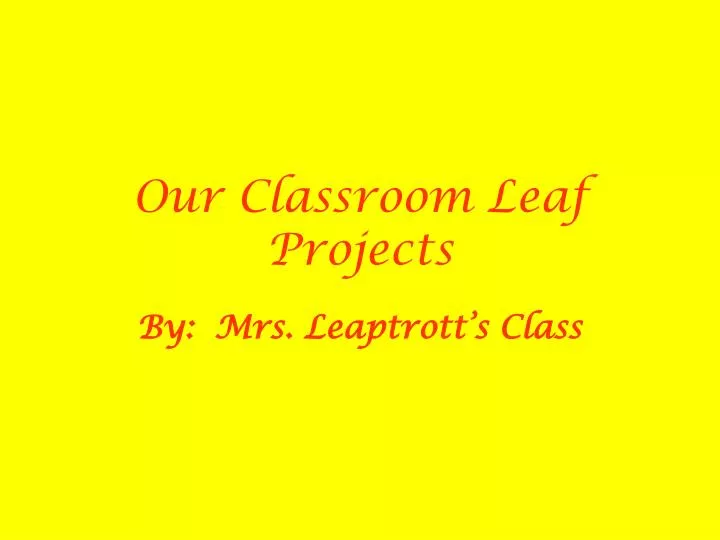 our classroom leaf projects