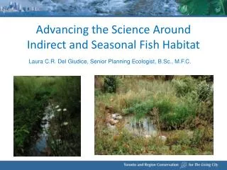 Advancing the Science Around Indirect and Seasonal Fish Habitat