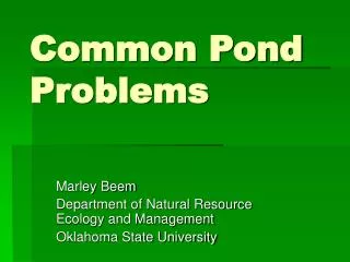 Common Pond Problems