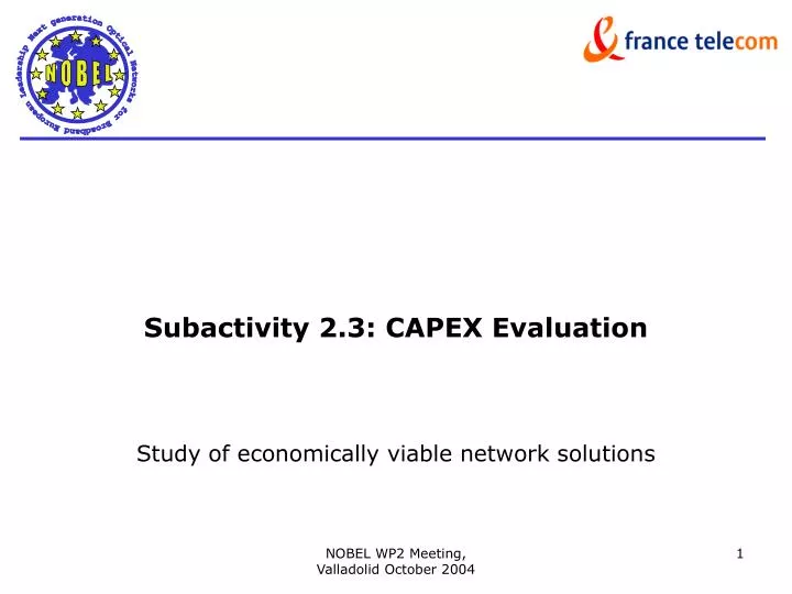 subactivity 2 3 capex evaluation