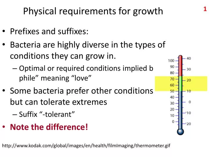 physical requirements for growth