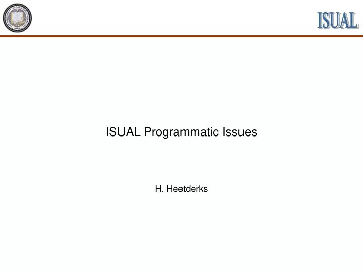 isual programmatic issues
