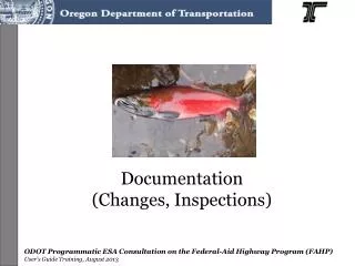 Documentation (Changes, Inspections)