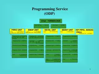 Programming Service (ODP)