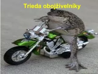 trieda oboj iveln ky