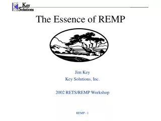 The Essence of REMP