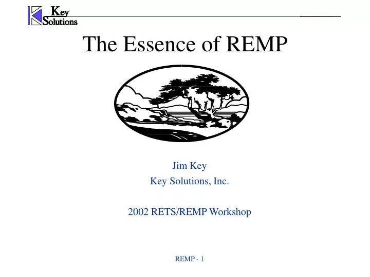 the essence of remp