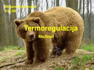 termoregulacija