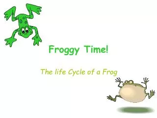 Froggy Time!