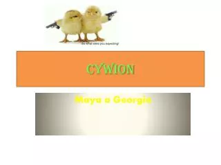 c ywion