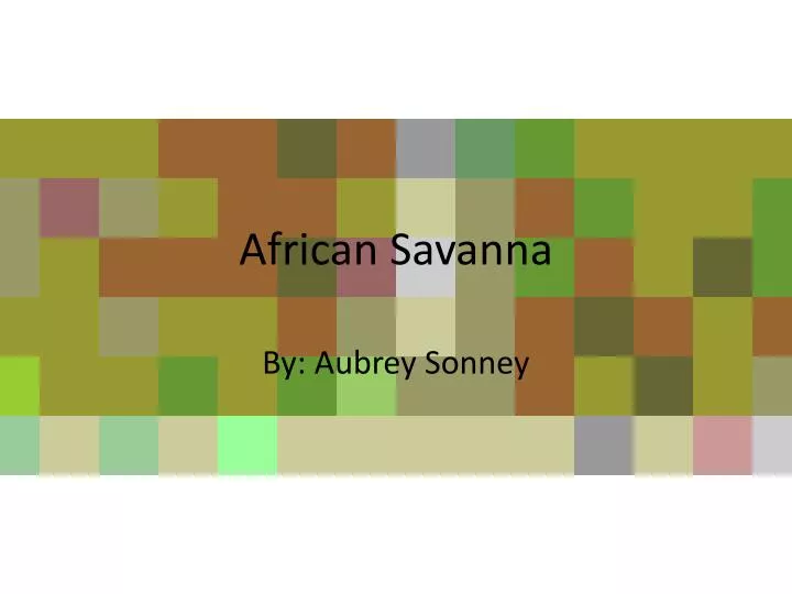 african savanna