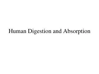 Human Digestion and Absorption