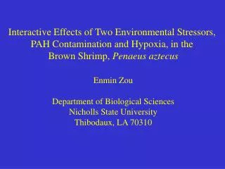 Interactive Effects of Two Environmental Stressors, PAH Contamination and Hypoxia, in the