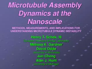 Microtubule Assembly Dynamics at the Nanoscale