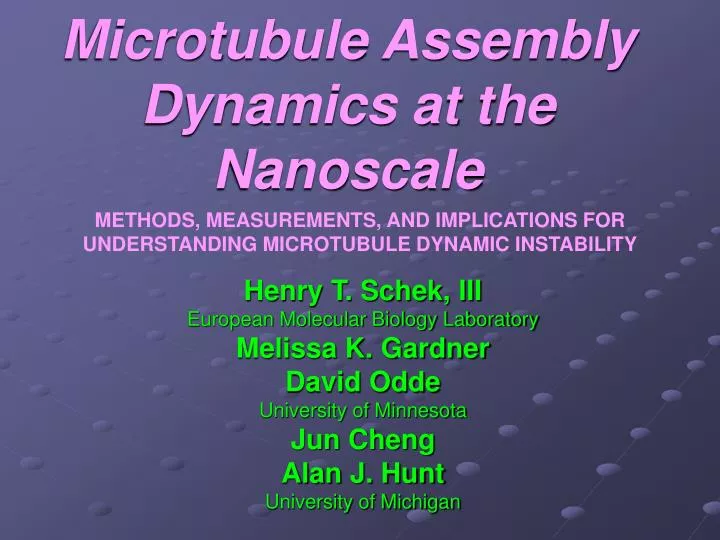 microtubule assembly dynamics at the nanoscale